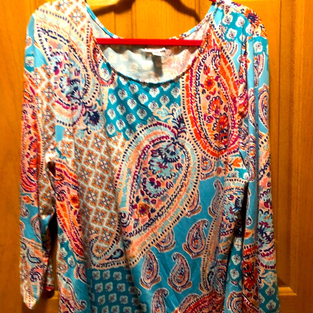 Croft&Barrow sulky blouse